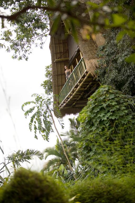 Jungle Retreat By Kupu Kupu Barong Hotel Ubud  Exterior photo